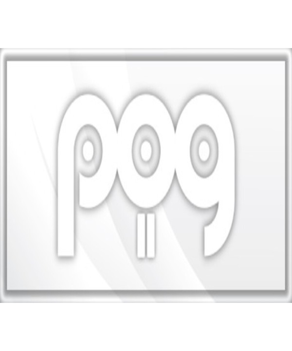POG 2 Steam Key GLOBAL